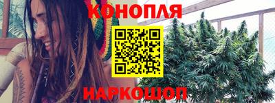 прущие крисы Камышлов