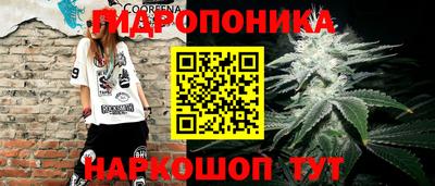 спиды Канаш
