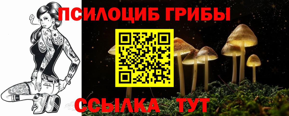 Псилоцибиновые грибы Cubensis  Вход с VPN  Курчатов  Псилоцибиновые грибы прущие грибы 